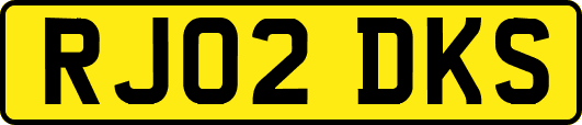 RJ02DKS