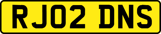 RJ02DNS