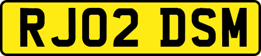 RJ02DSM