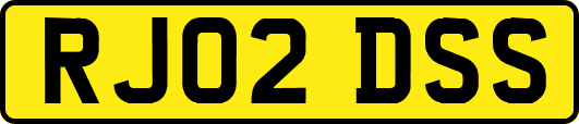 RJ02DSS
