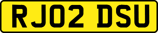 RJ02DSU