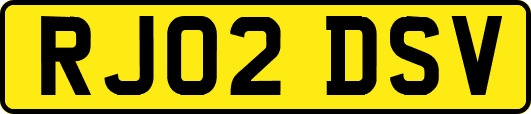 RJ02DSV
