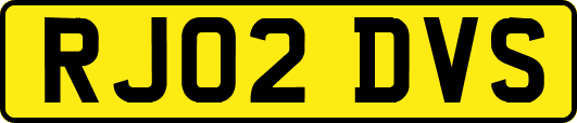 RJ02DVS