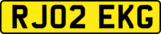 RJ02EKG