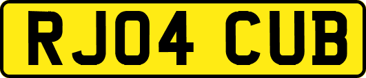 RJ04CUB