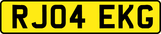 RJ04EKG