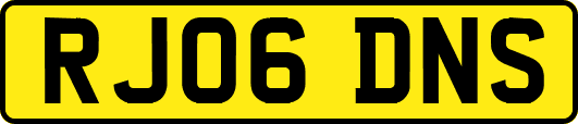 RJ06DNS