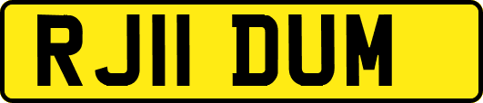 RJ11DUM