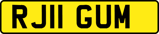 RJ11GUM