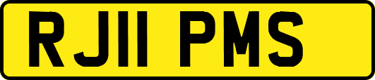RJ11PMS