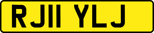 RJ11YLJ