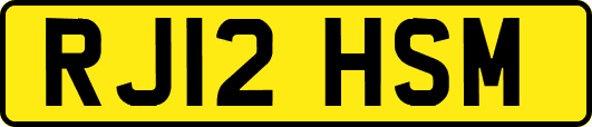 RJ12HSM