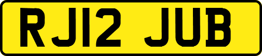 RJ12JUB