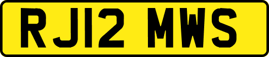 RJ12MWS