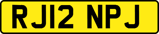 RJ12NPJ
