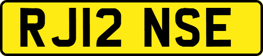 RJ12NSE