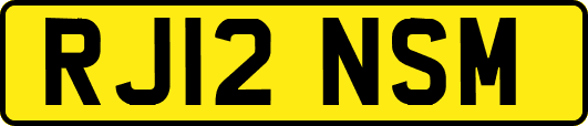 RJ12NSM