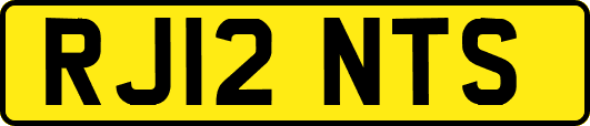 RJ12NTS