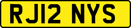 RJ12NYS
