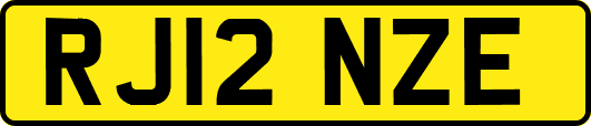 RJ12NZE