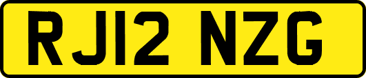 RJ12NZG