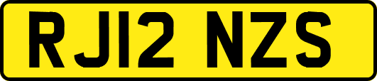 RJ12NZS