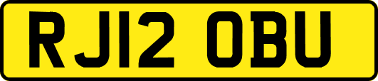 RJ12OBU