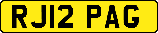 RJ12PAG