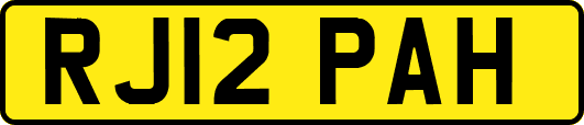 RJ12PAH