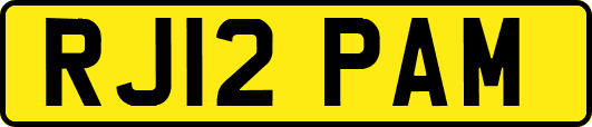 RJ12PAM