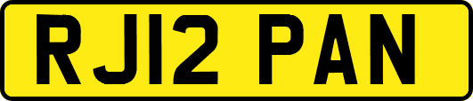 RJ12PAN