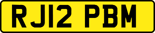 RJ12PBM