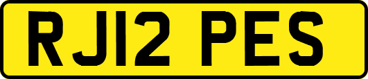 RJ12PES