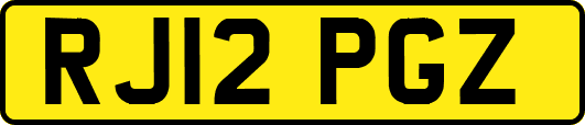 RJ12PGZ