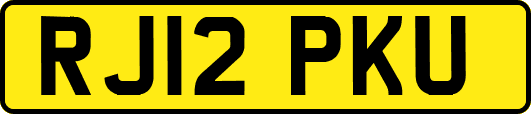 RJ12PKU