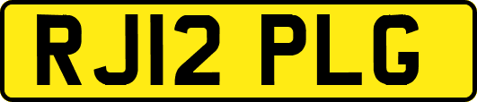 RJ12PLG