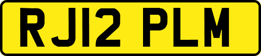 RJ12PLM