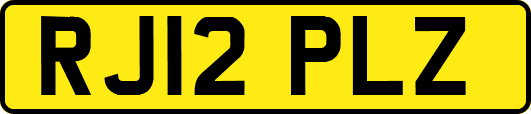 RJ12PLZ