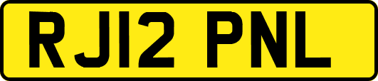 RJ12PNL