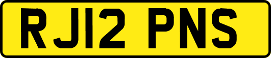 RJ12PNS