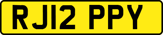 RJ12PPY