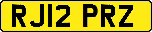 RJ12PRZ