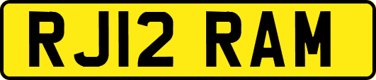 RJ12RAM