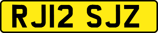 RJ12SJZ