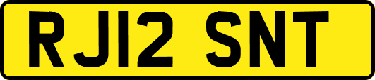 RJ12SNT