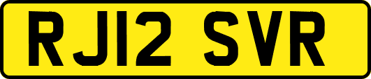 RJ12SVR