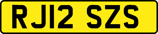 RJ12SZS