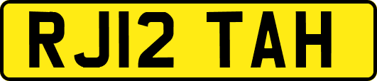 RJ12TAH