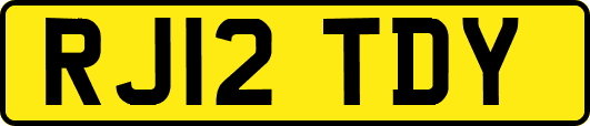 RJ12TDY