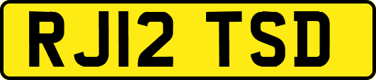 RJ12TSD